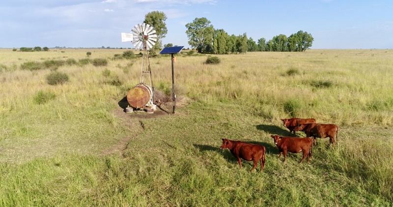 0 Bedroom Property for Sale in Bothaville Free State